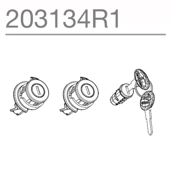 Shad Downgradable Lock And Red Key Replacement System